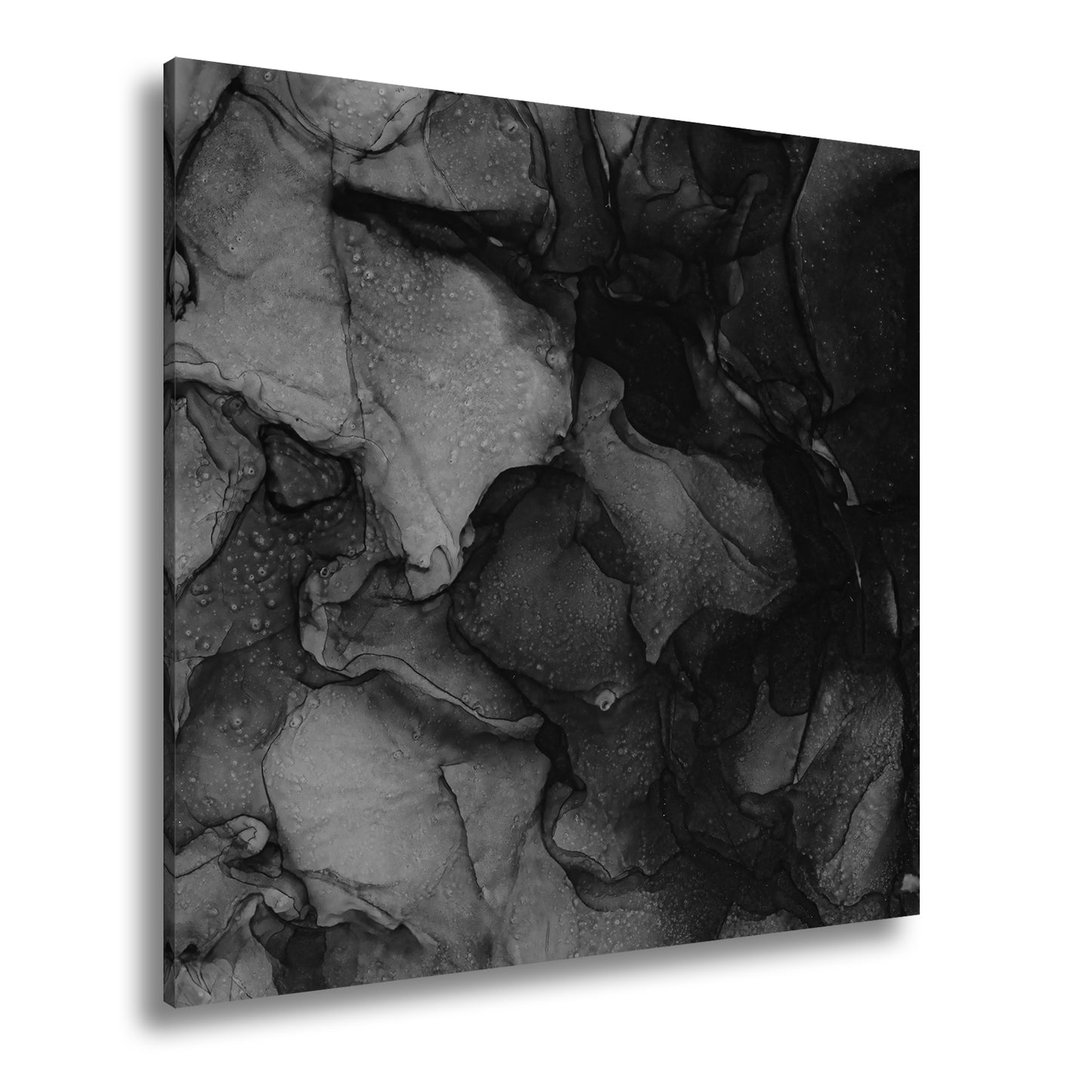 Hauptbild Schwarz & Weiß Quadratisch