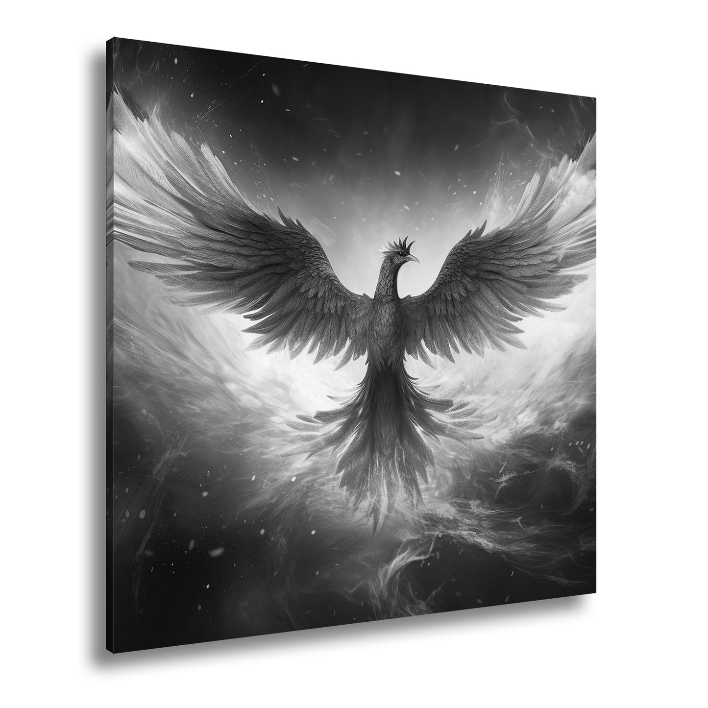 Hauptbild Schwarz & Weiß Quadratisch