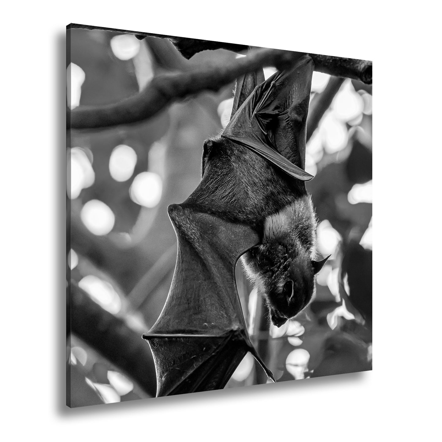 Hauptbild Schwarz & Weiß Quadratisch