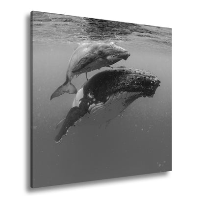 Hauptbild Schwarz & Weiß Quadratisch