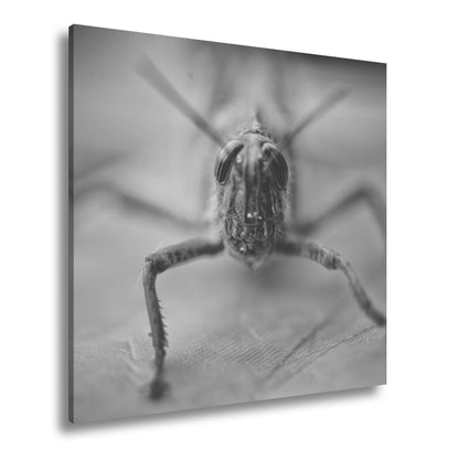 Hauptbild Schwarz & Weiß Quadratisch