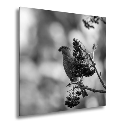 Hauptbild Schwarz & Weiß Quadratisch