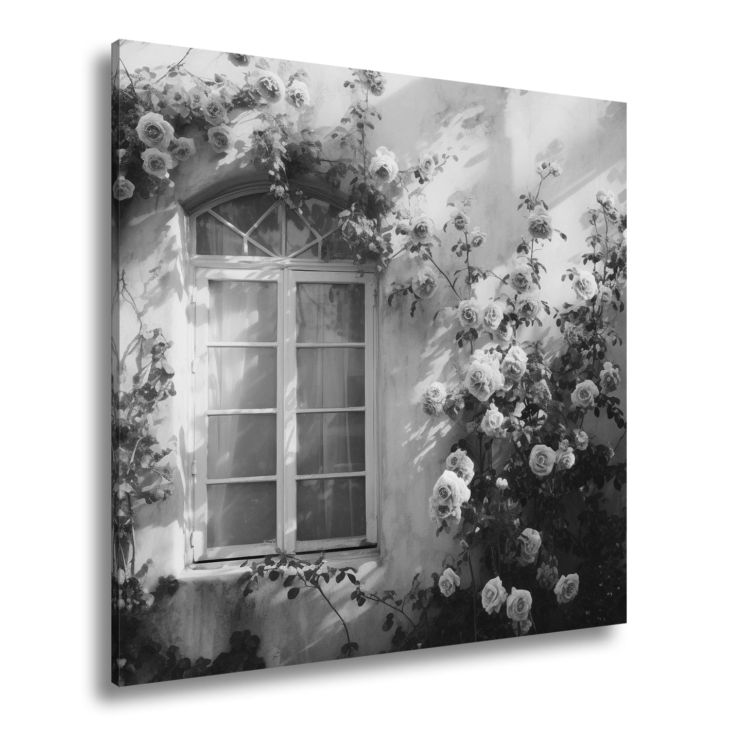 Hauptbild Schwarz & Weiß Quadratisch