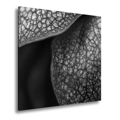 Hauptbild Schwarz & Weiß Quadratisch