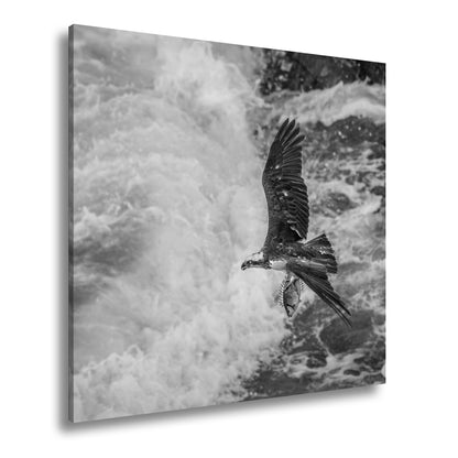 Hauptbild Schwarz & Weiß Quadratisch