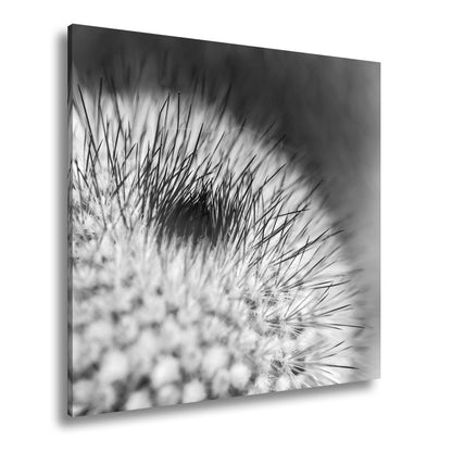 Hauptbild Schwarz & Weiß Quadratisch