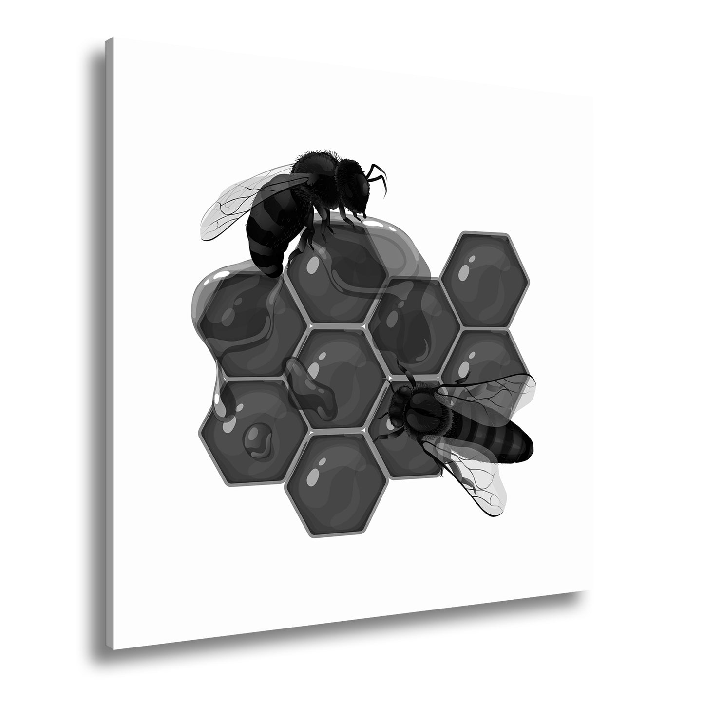 Hauptbild Schwarz & Weiß Quadratisch