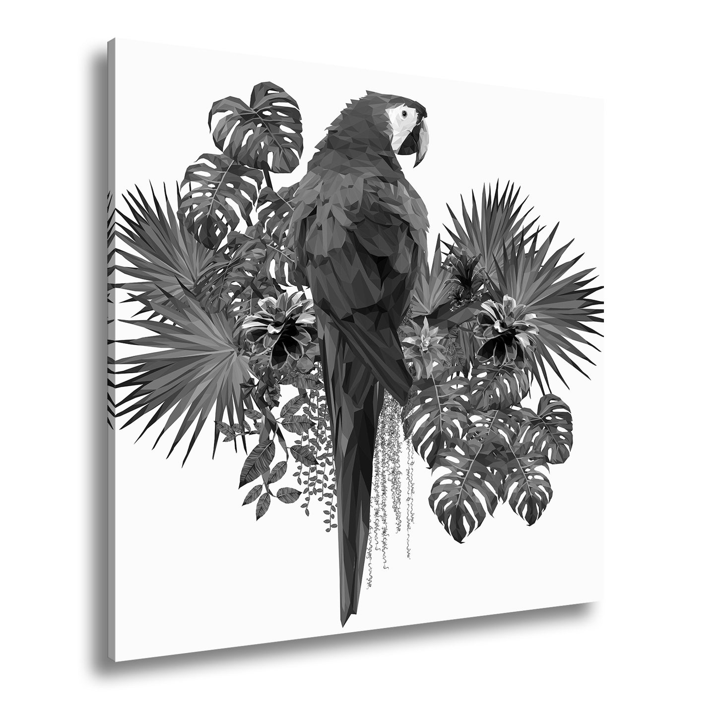 Hauptbild Schwarz & Weiß Quadratisch