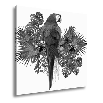 Hauptbild Schwarz & Weiß Quadratisch