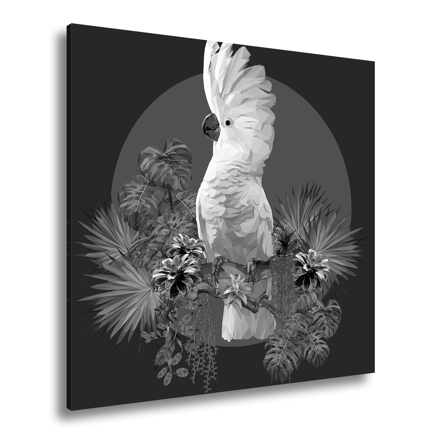 Hauptbild Schwarz & Weiß Quadratisch