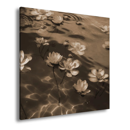 Hauptbild Sepia Quadratisch