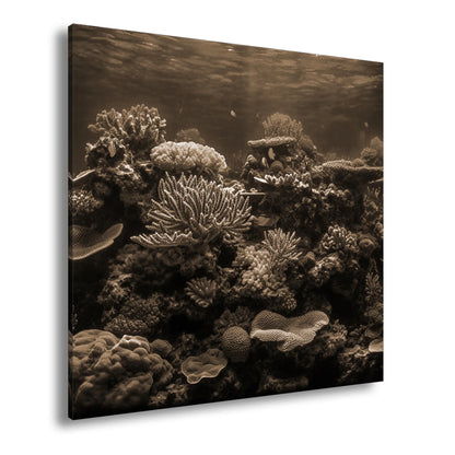 Hauptbild Sepia Quadratisch