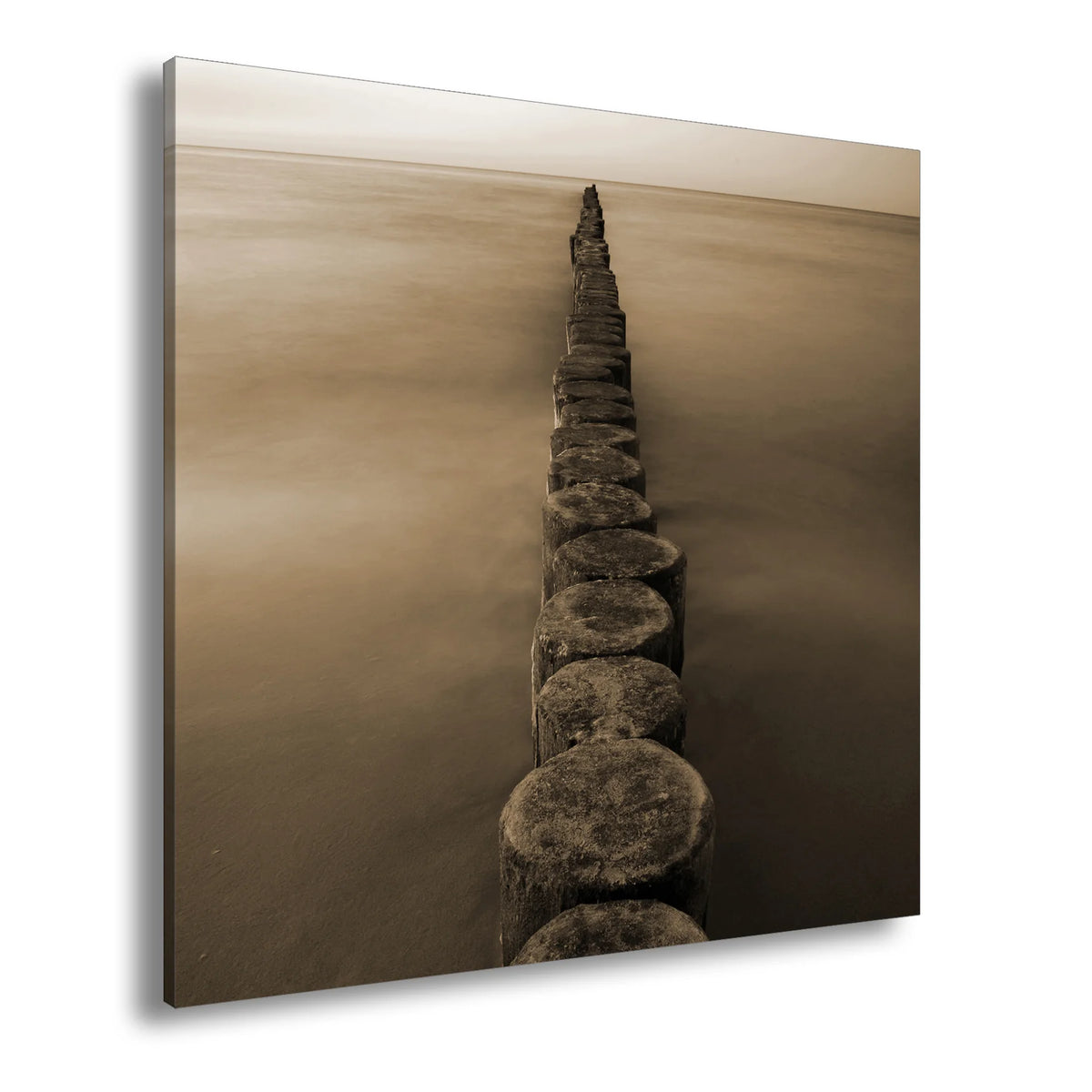 Hauptbild Sepia Quadratisch