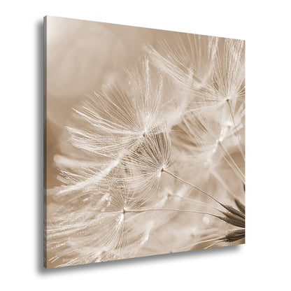 Hauptbild Sepia Quadratisch