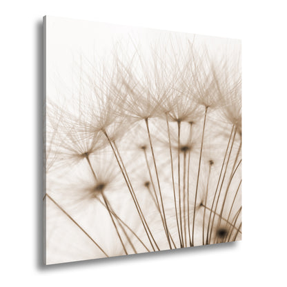 Hauptbild Sepia Quadratisch