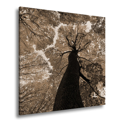 Hauptbild Sepia Quadratisch