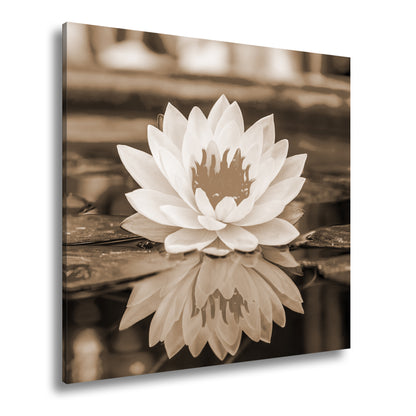 Hauptbild Sepia Quadratisch