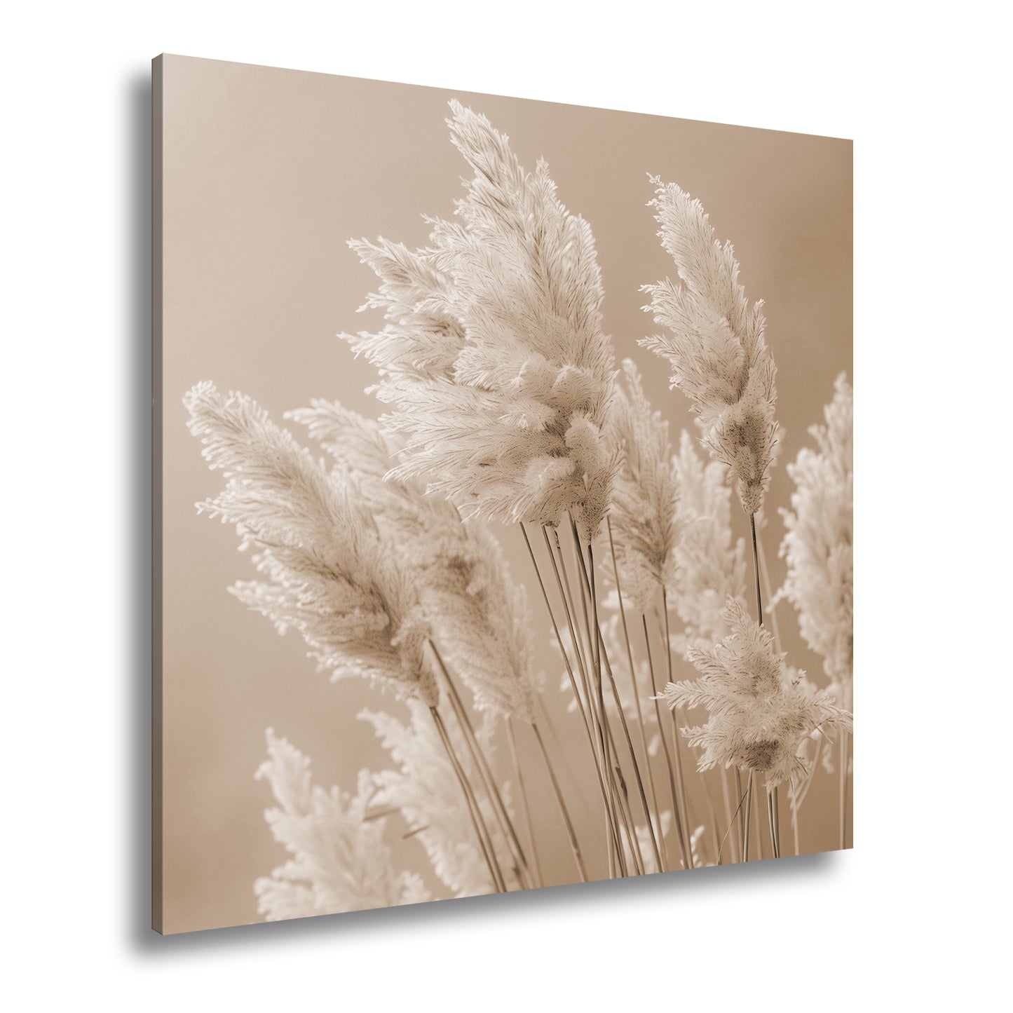 Hauptbild Sepia Quadratisch