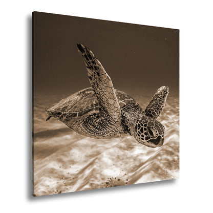 Hauptbild Sepia Quadratisch