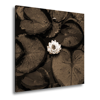 Hauptbild Sepia Quadratisch