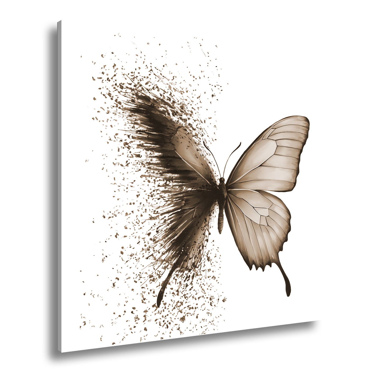 Hauptbild Sepia Quadratisch