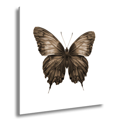 Hauptbild Sepia Quadratisch