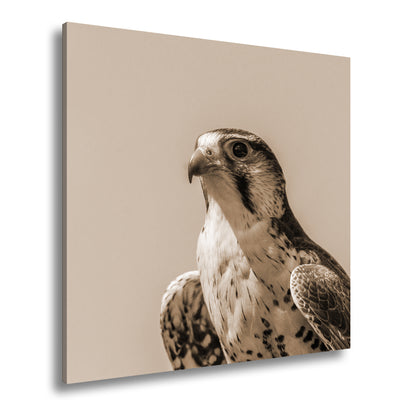 Hauptbild Sepia Quadratisch