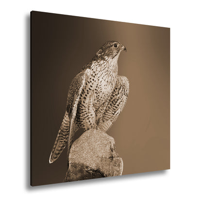 Hauptbild Sepia Quadratisch