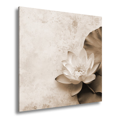 Hauptbild Sepia Quadratisch