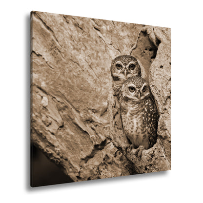 Hauptbild Sepia Quadratisch