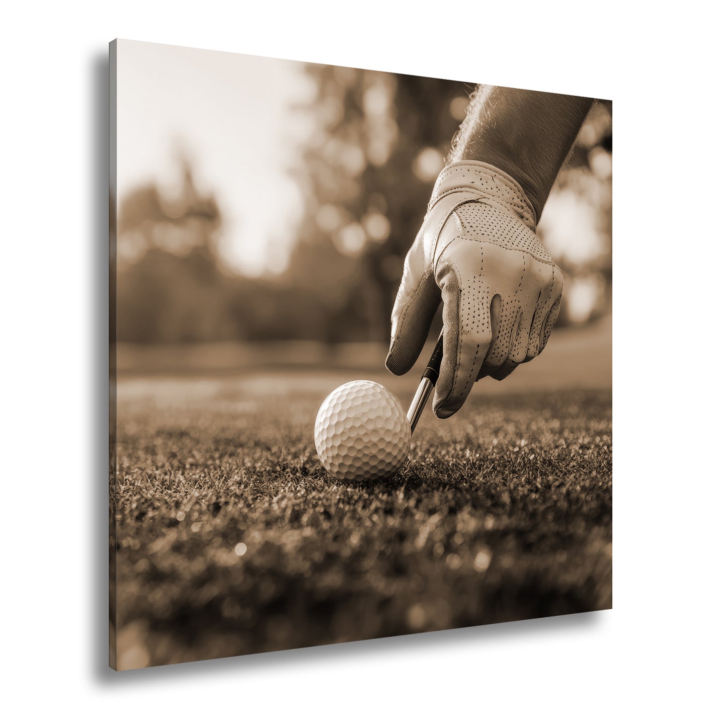 Hauptbild Sepia Quadratisch