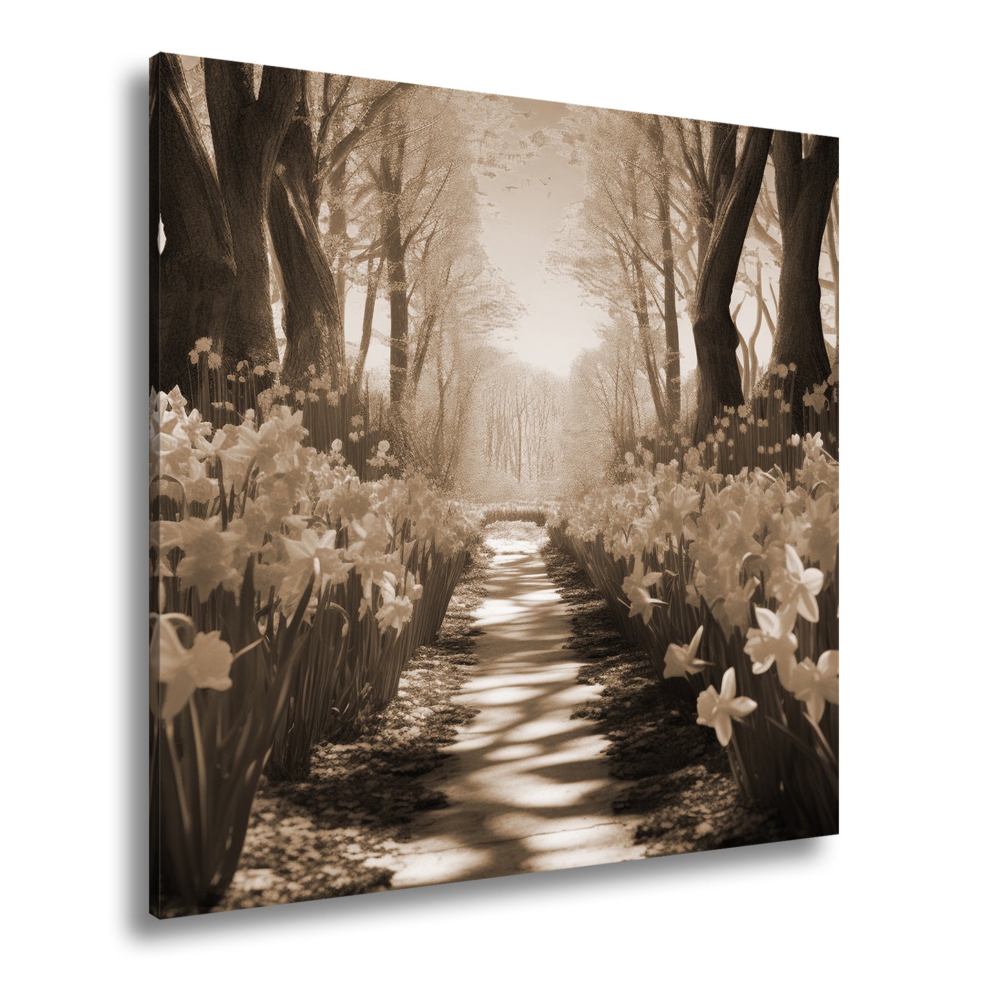 Hauptbild Sepia Quadratisch