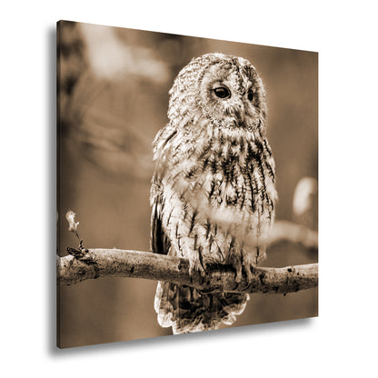 Hauptbild Sepia Quadratisch