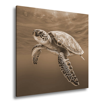 Hauptbild Sepia Quadratisch