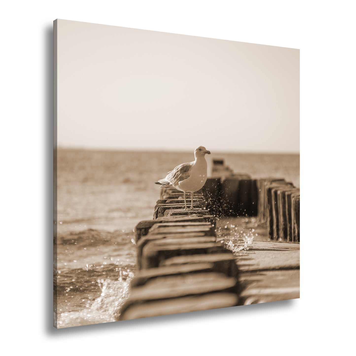 Hauptbild Sepia Quadratisch