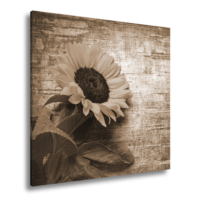 Hauptbild Sepia Quadratisch