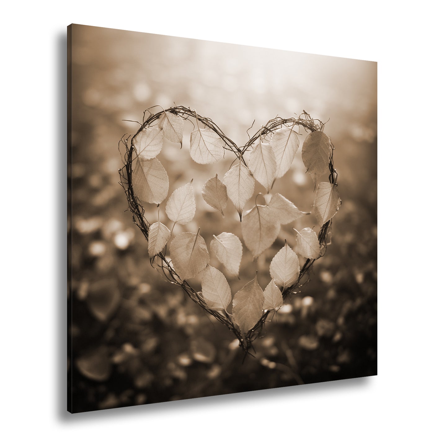 Hauptbild Sepia Quadratisch