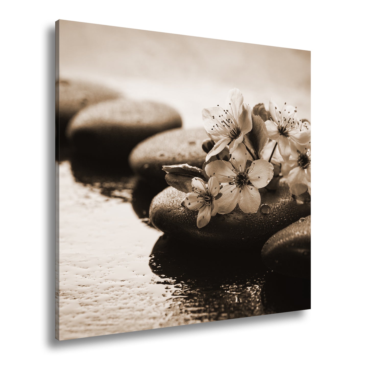 Hauptbild Sepia Quadratisch