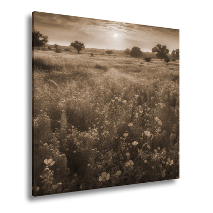 Hauptbild Sepia Quadratisch