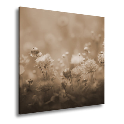 Hauptbild Sepia Quadratisch