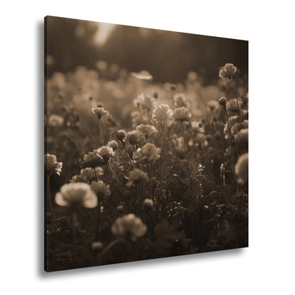 Hauptbild Sepia Quadratisch