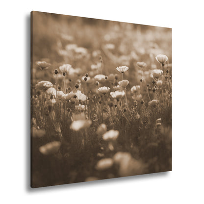 Hauptbild Sepia Quadratisch