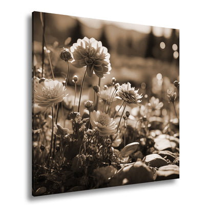 Hauptbild Sepia Quadratisch