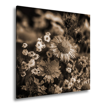 Hauptbild Sepia Quadratisch