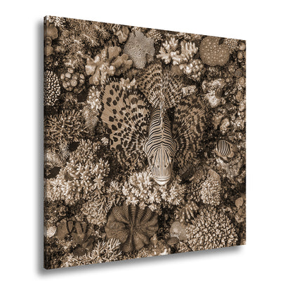 Hauptbild Sepia Quadratisch