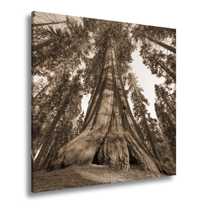 Hauptbild Sepia Quadratisch