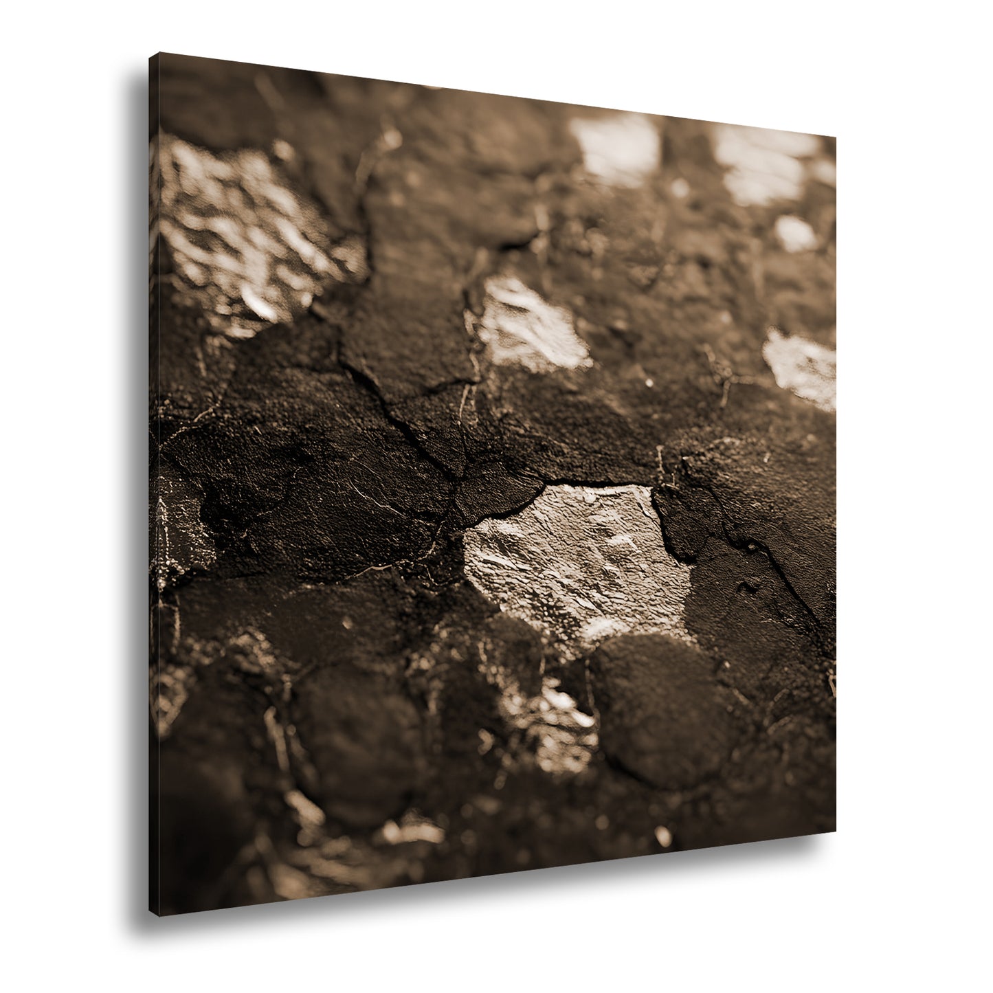 Hauptbild Sepia Quadratisch