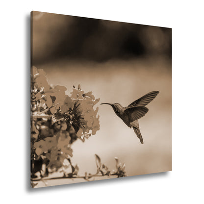 Hauptbild Sepia Quadratisch