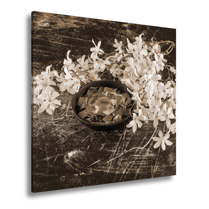 Hauptbild Sepia Quadratisch