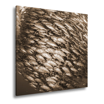 Hauptbild Sepia Quadratisch
